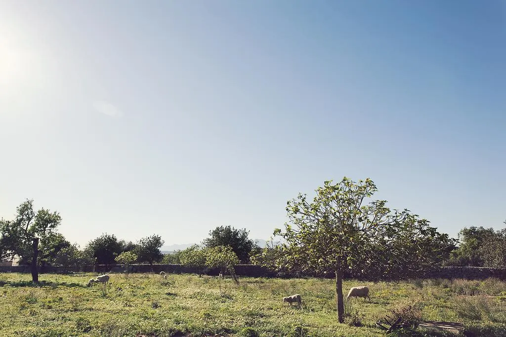 Farm stay S'Hort Can Capita Ariany